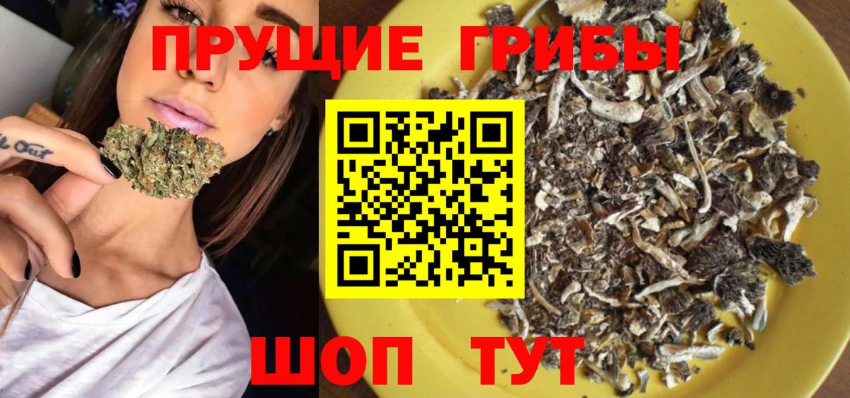 Заинск  Галлюциногенные грибы Psilocybe  Вход с VPN 